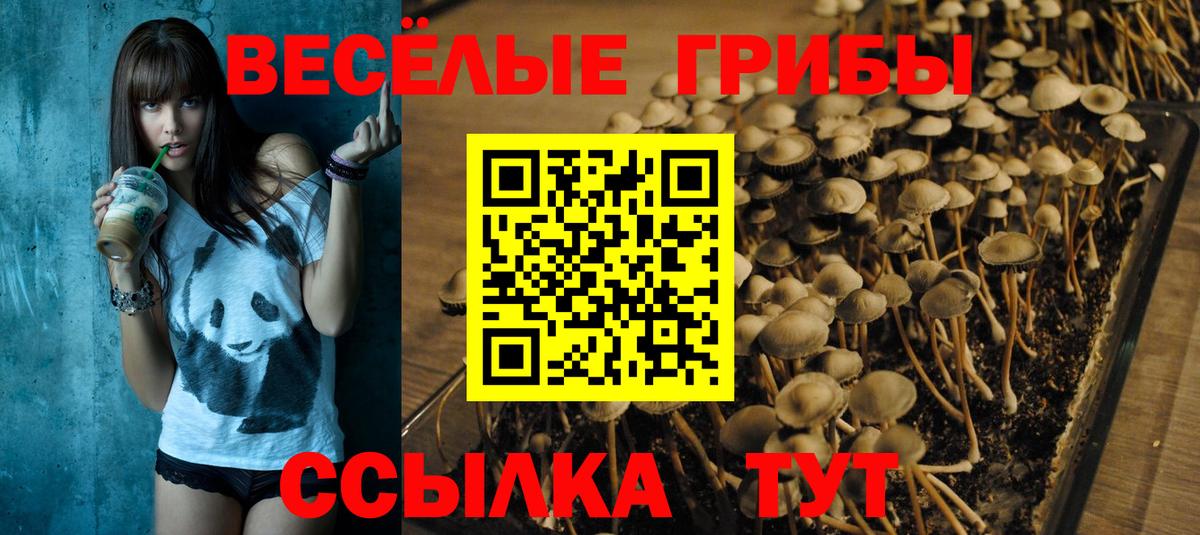 Серпухов  Псилоцибиновые грибы мицелий  Вход с VPN 